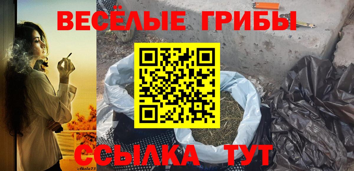 Псилоцибиновые грибы Psilocybe Пушкино
